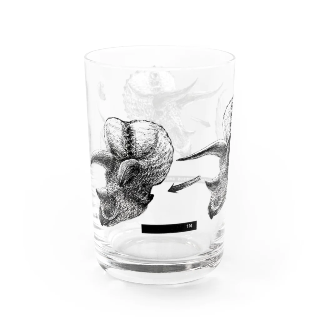 segasworksのTriceratops prorsus growth series Water Glass :left