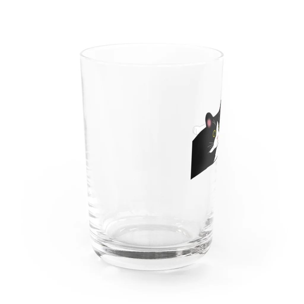 小鳥と映画館の甘えたいネコ Water Glass :left