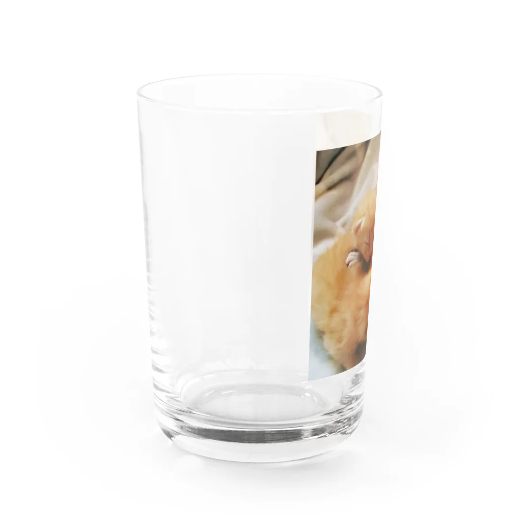 あんちゃんショップの茶トラ兄妹 Water Glass :left