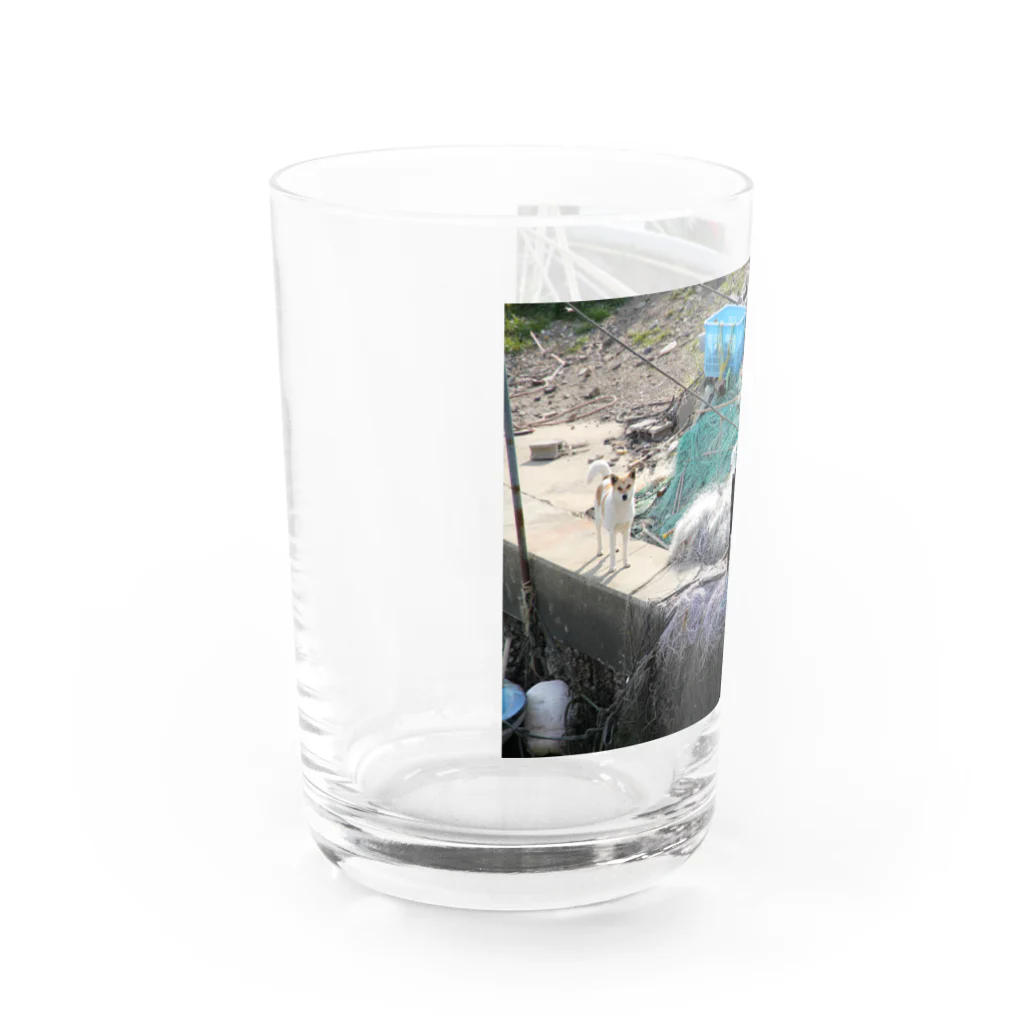 テンテンウツヤツとカゾクの野犬くん Water Glass :left