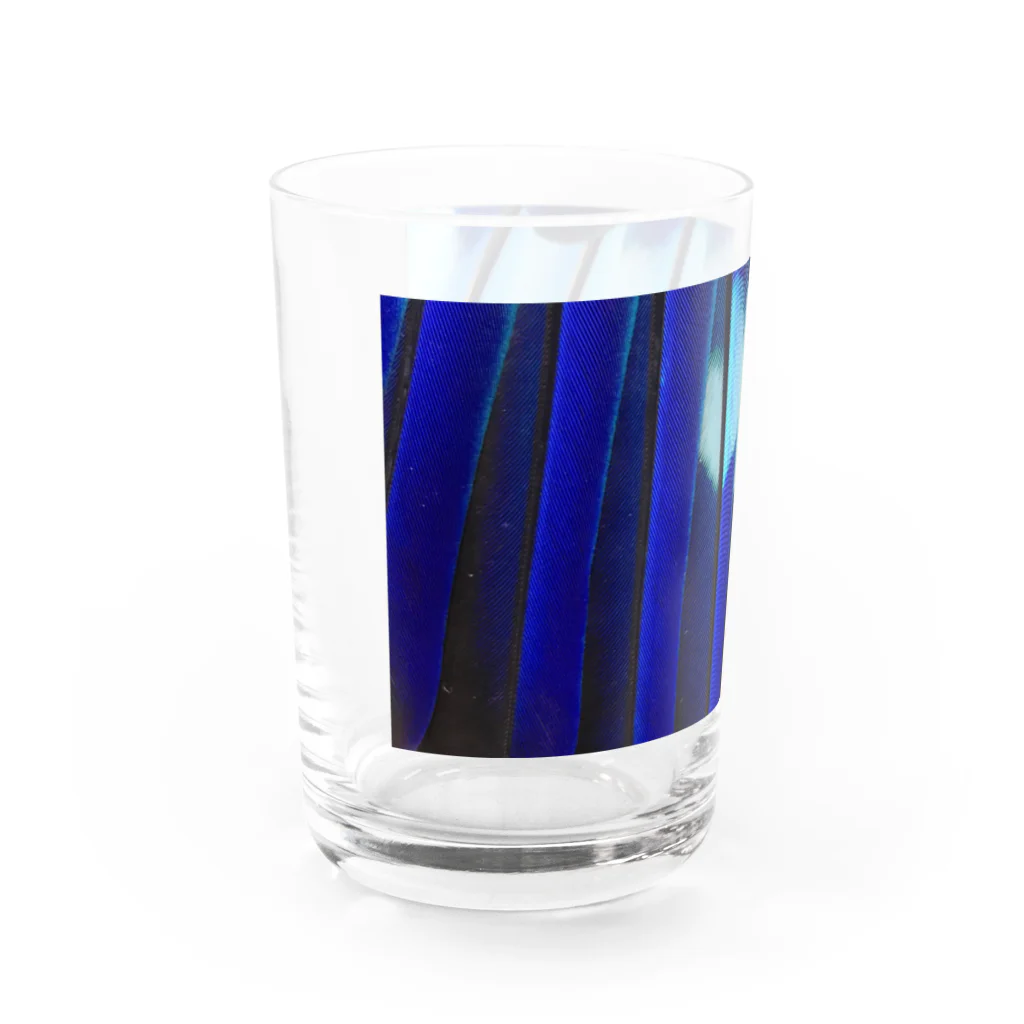 はるさんのブッポウソウの羽 Water Glass :left