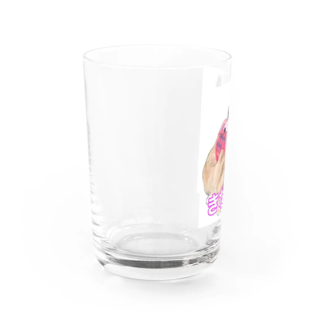 うさぎ３姉妹のきな子P グラス Water Glass :left