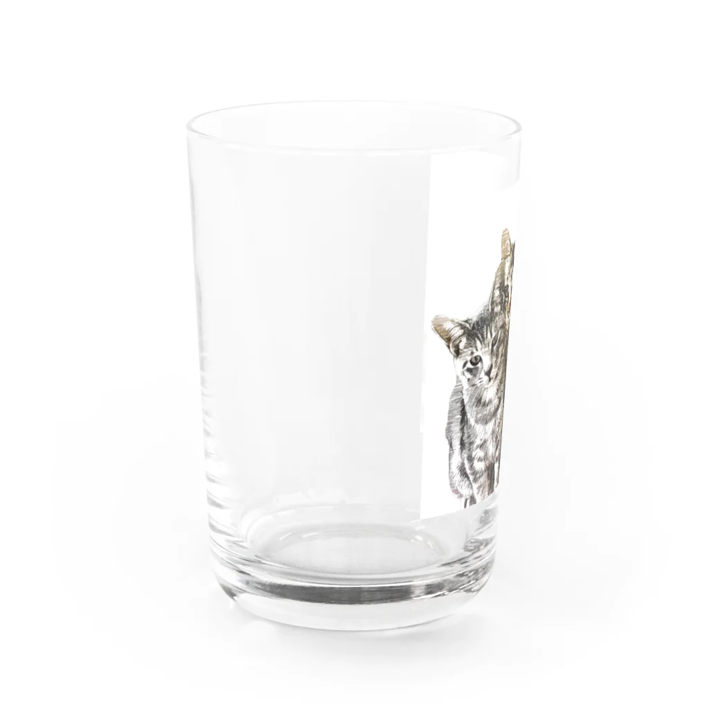 saraの猫 仲良し三兄弟 Water Glass :left