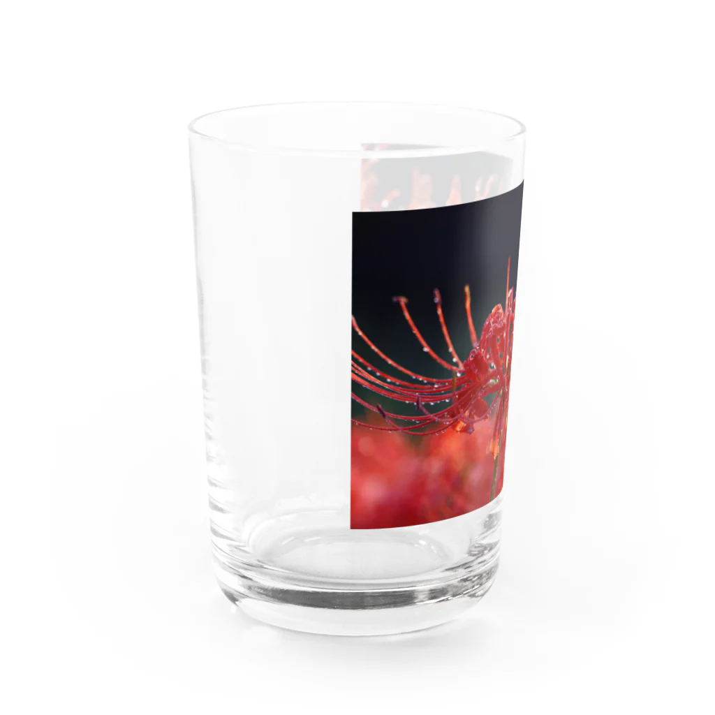 eMu*りおの彼岸花 Water Glass :left