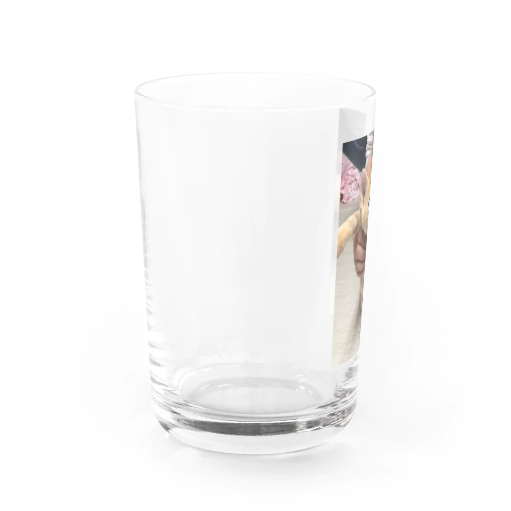 yamamixxxのSoraたん Water Glass :left