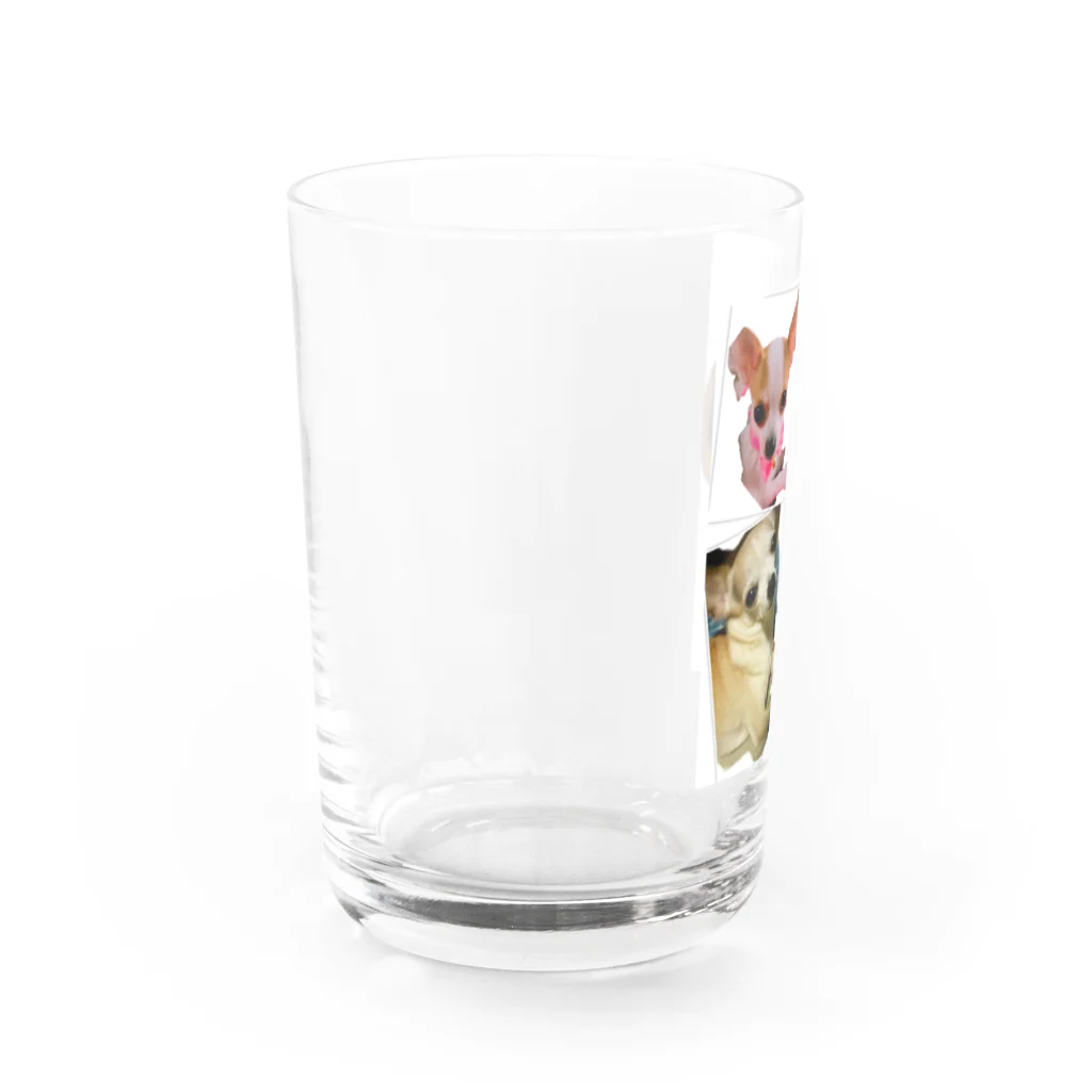 マンマチャオ　大東ショッピングプラザピア店の可愛い愛犬 Water Glass :left