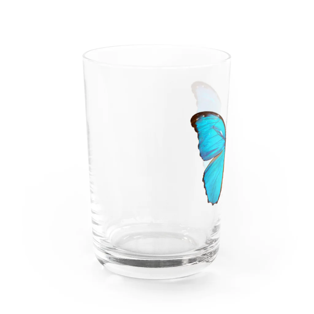 アニマルカフェ　The zoo &猛禽屋中部の標本Tシャツ　　モルフォ蝶(Morphidae) Water Glass :left