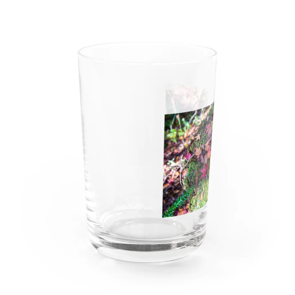 otakeの写真店のもみじ Water Glass :left