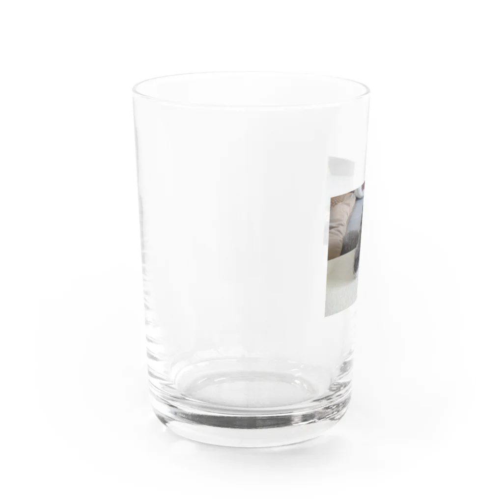 PIECE OF PEACEの愛犬シエル１８歳 Water Glass :left