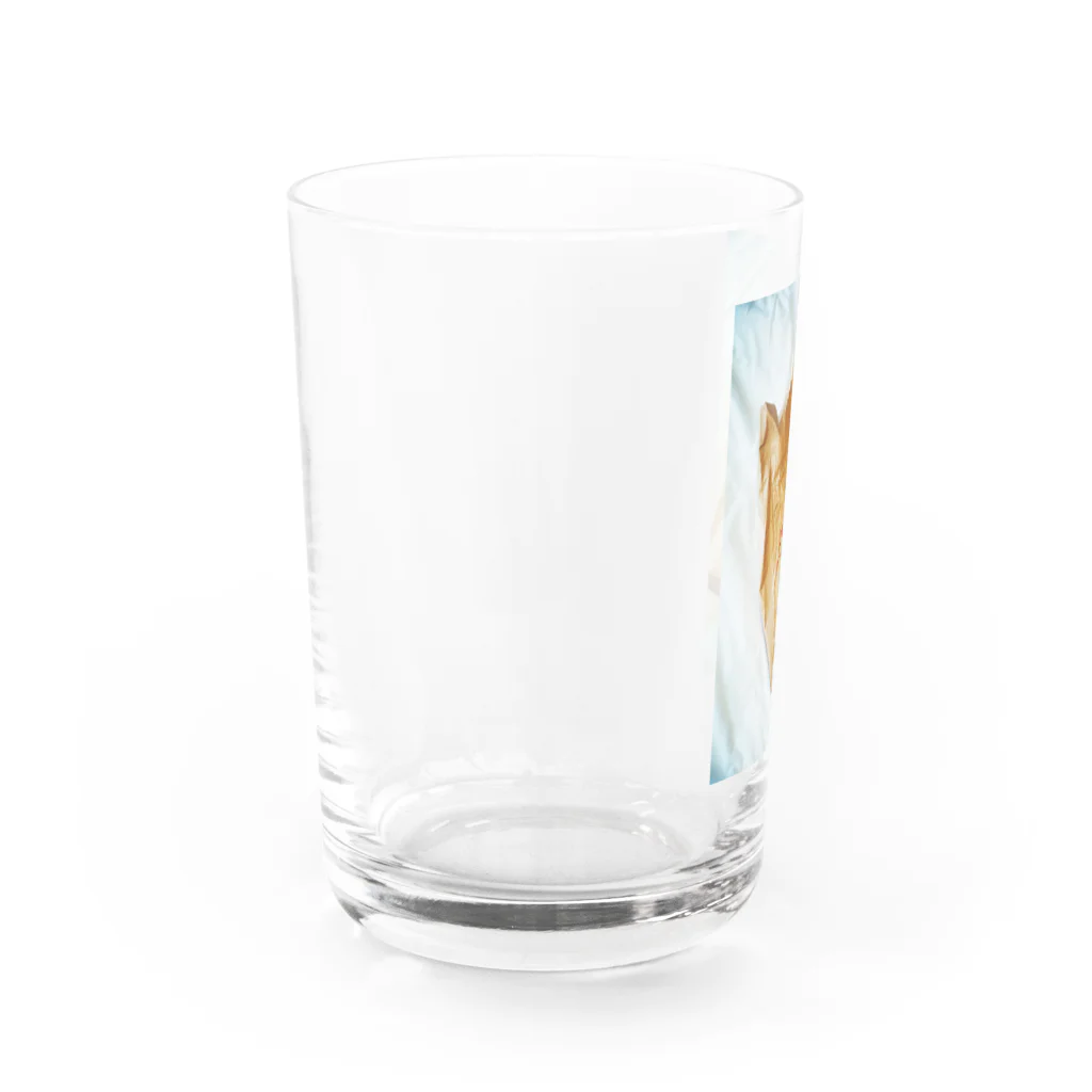 KiyokaのREUSABLE RECYCLABLE Water Glass :left