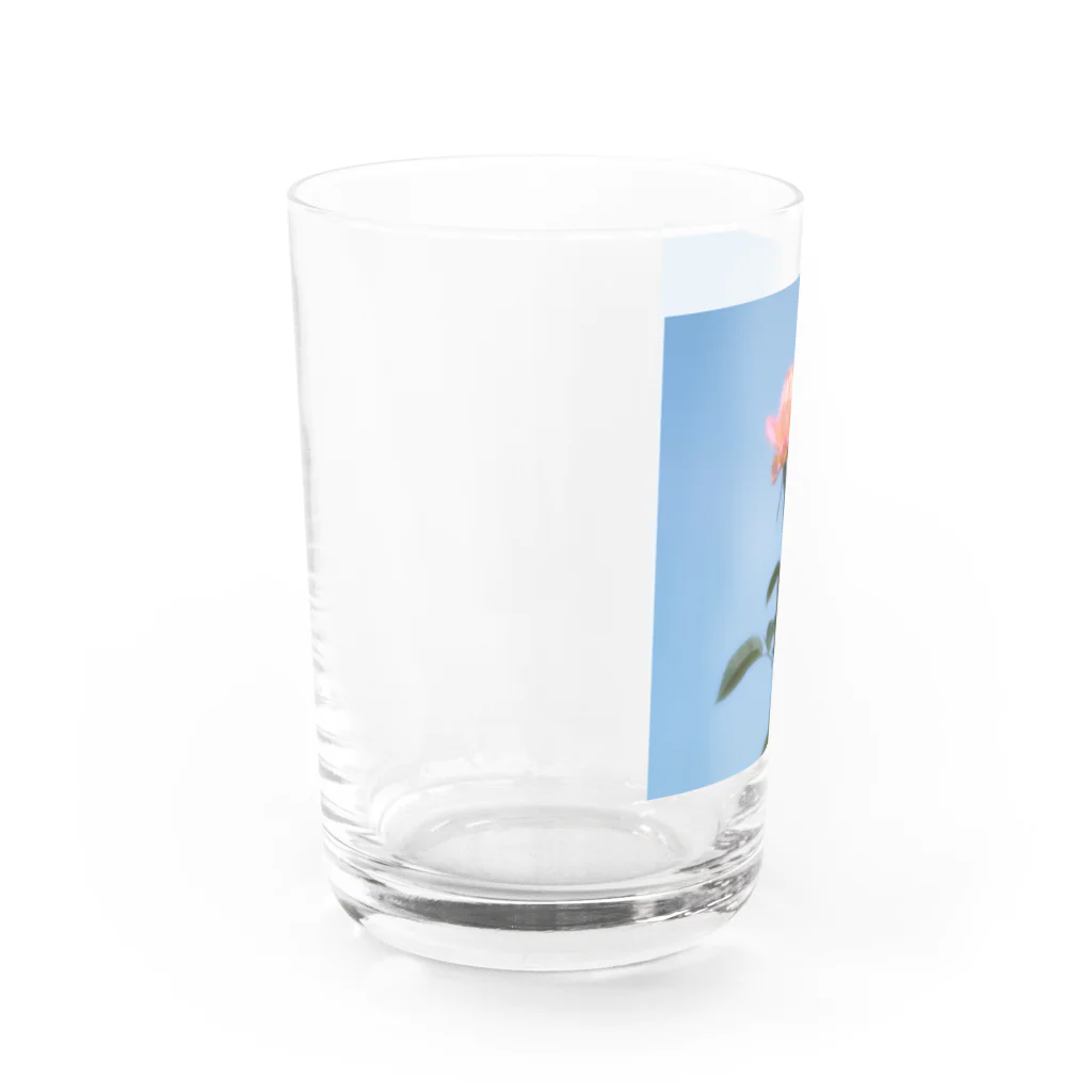 さーなの写真集の秋空の薔薇お写真んぽ Water Glass :left