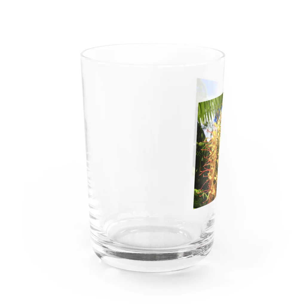 srgmtaroの南国花 Water Glass :left