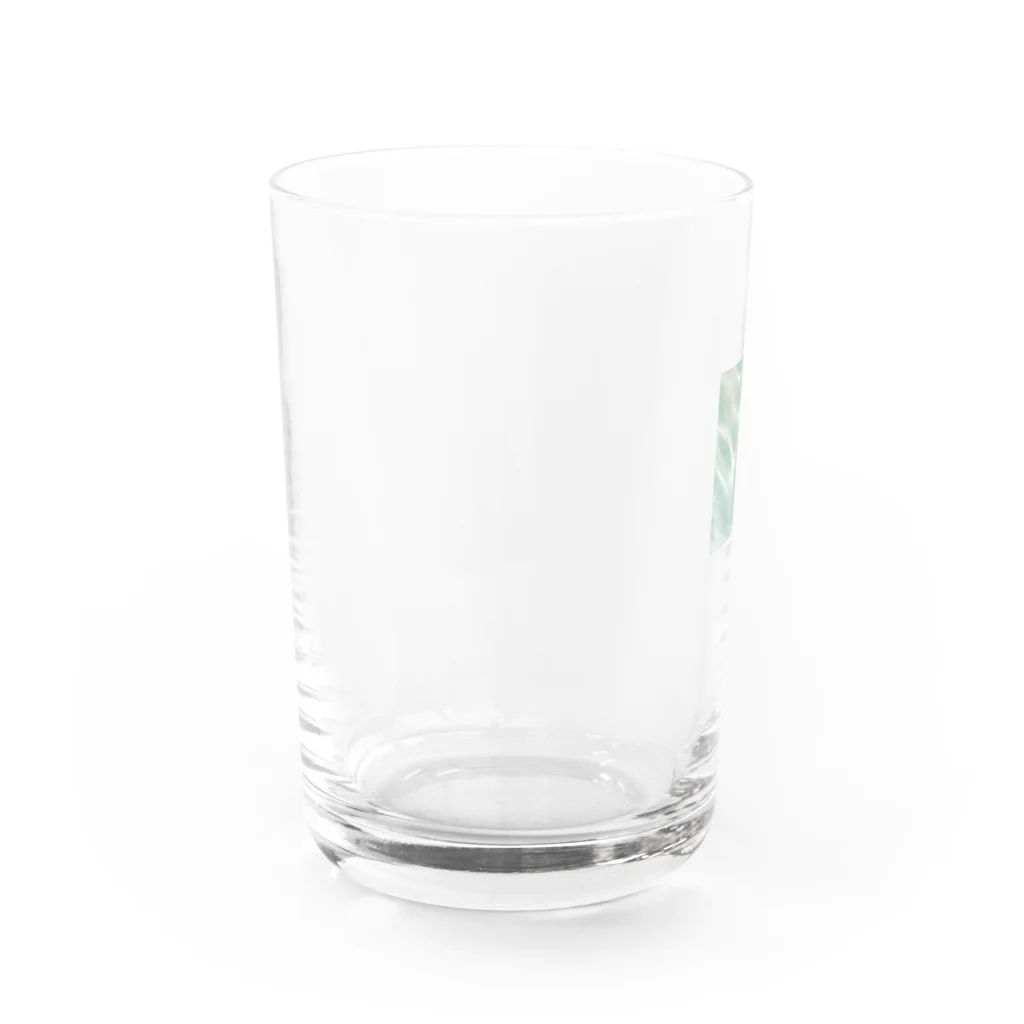 ひよりのみなものひかり Water Glass :left