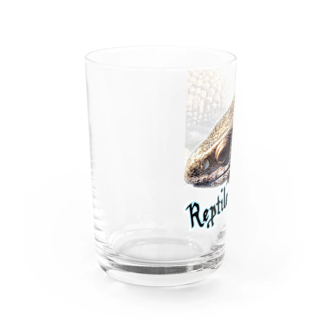 サウンドキラーのサバンナモニターノアくん Water Glass :left