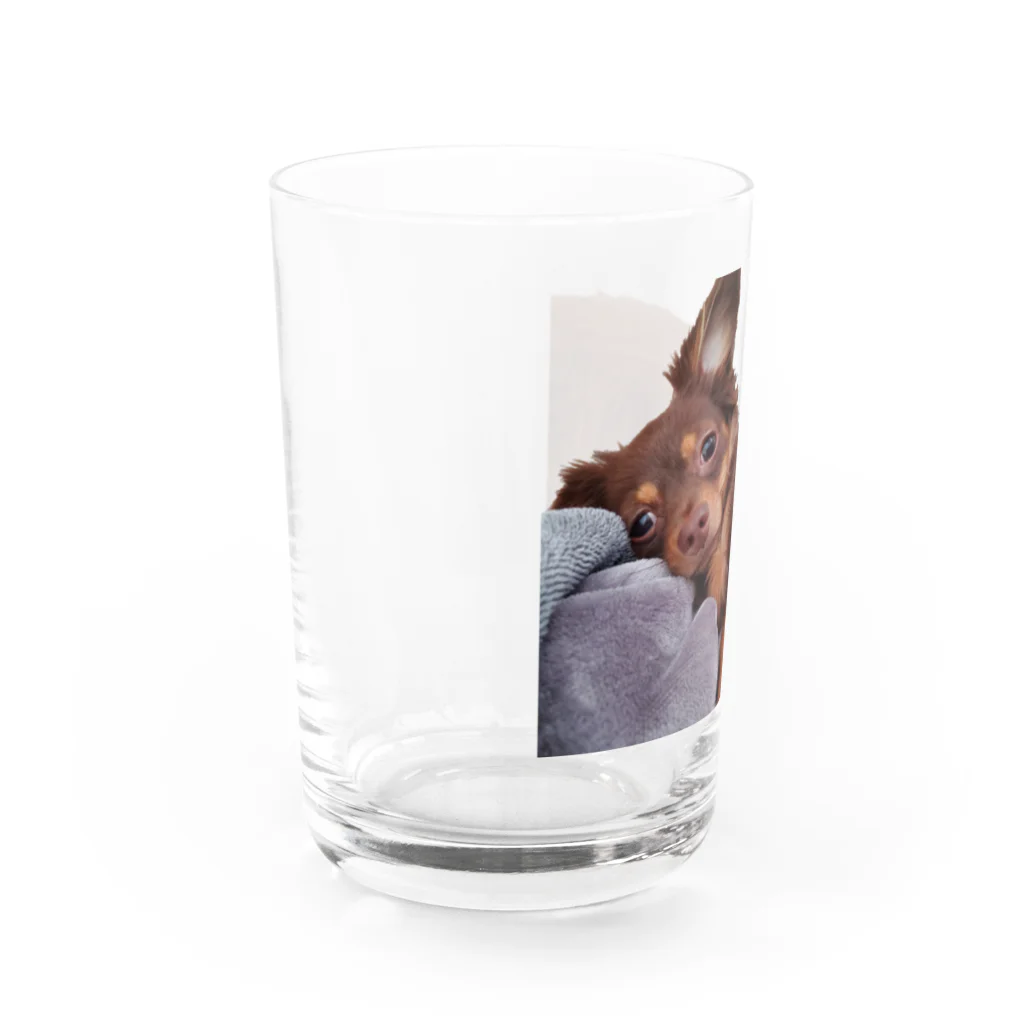 lovedogsの#Lovedogs Water Glass :left