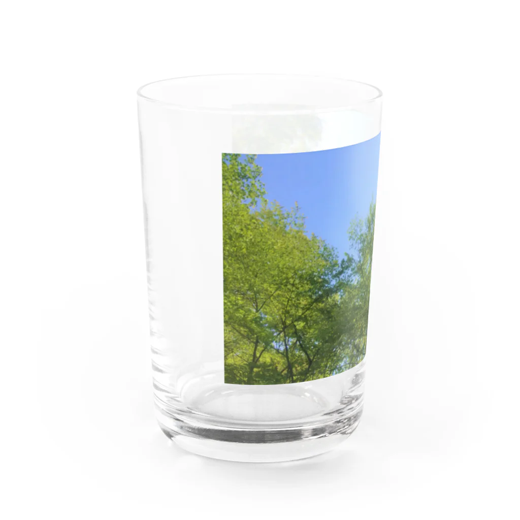 とべの森のとべ Water Glass :left