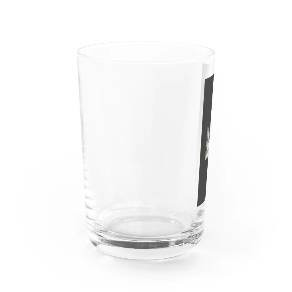 NoRomanceのShinjuku Fuckin night Water Glass :left