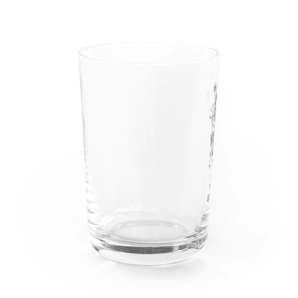のりおのビーナス Water Glass :left