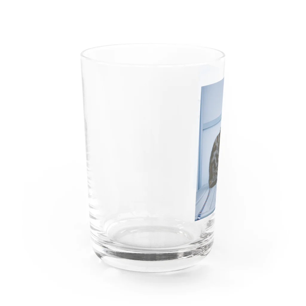 34のキメ顔 Water Glass :left