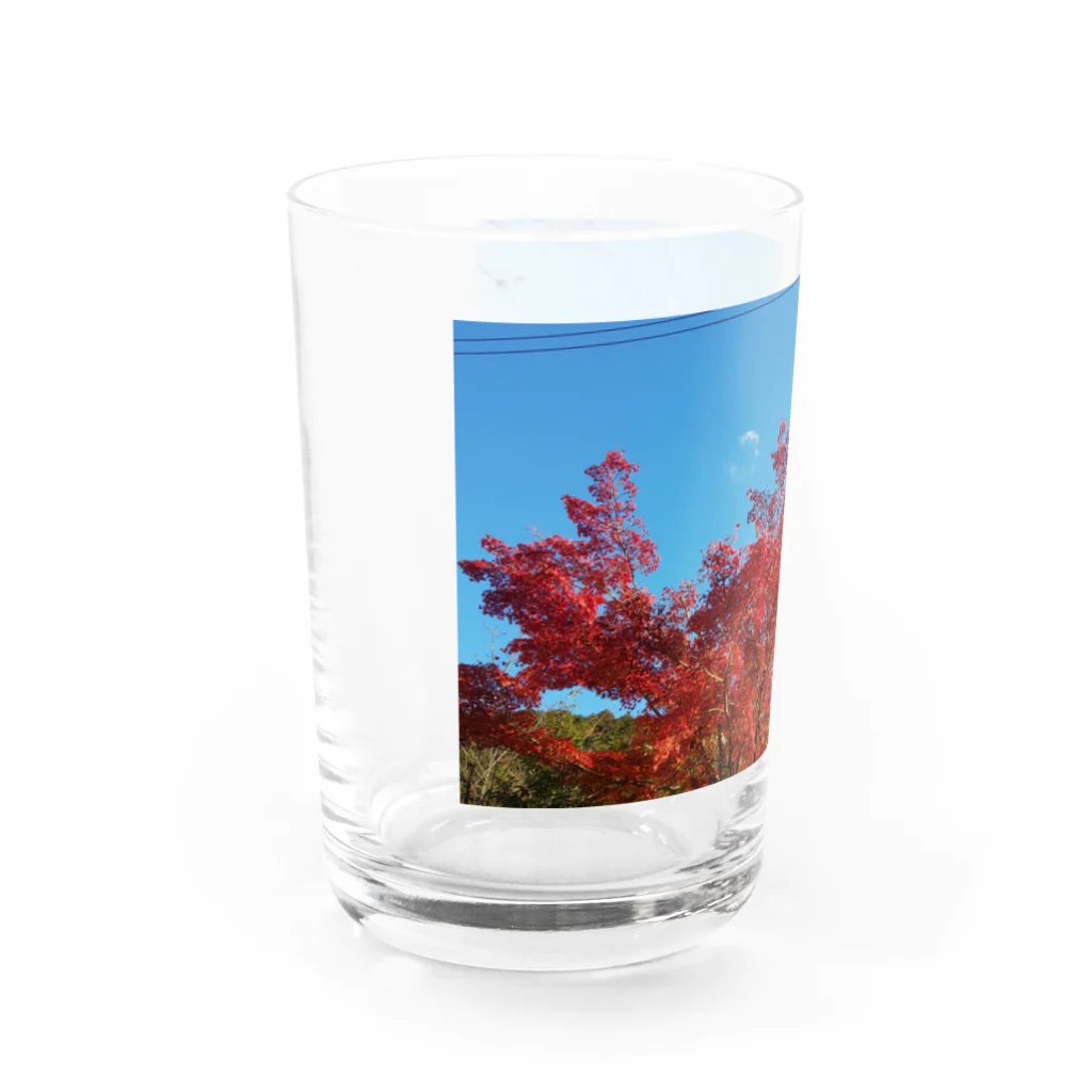 たむっち!の紅葉 Water Glass :left