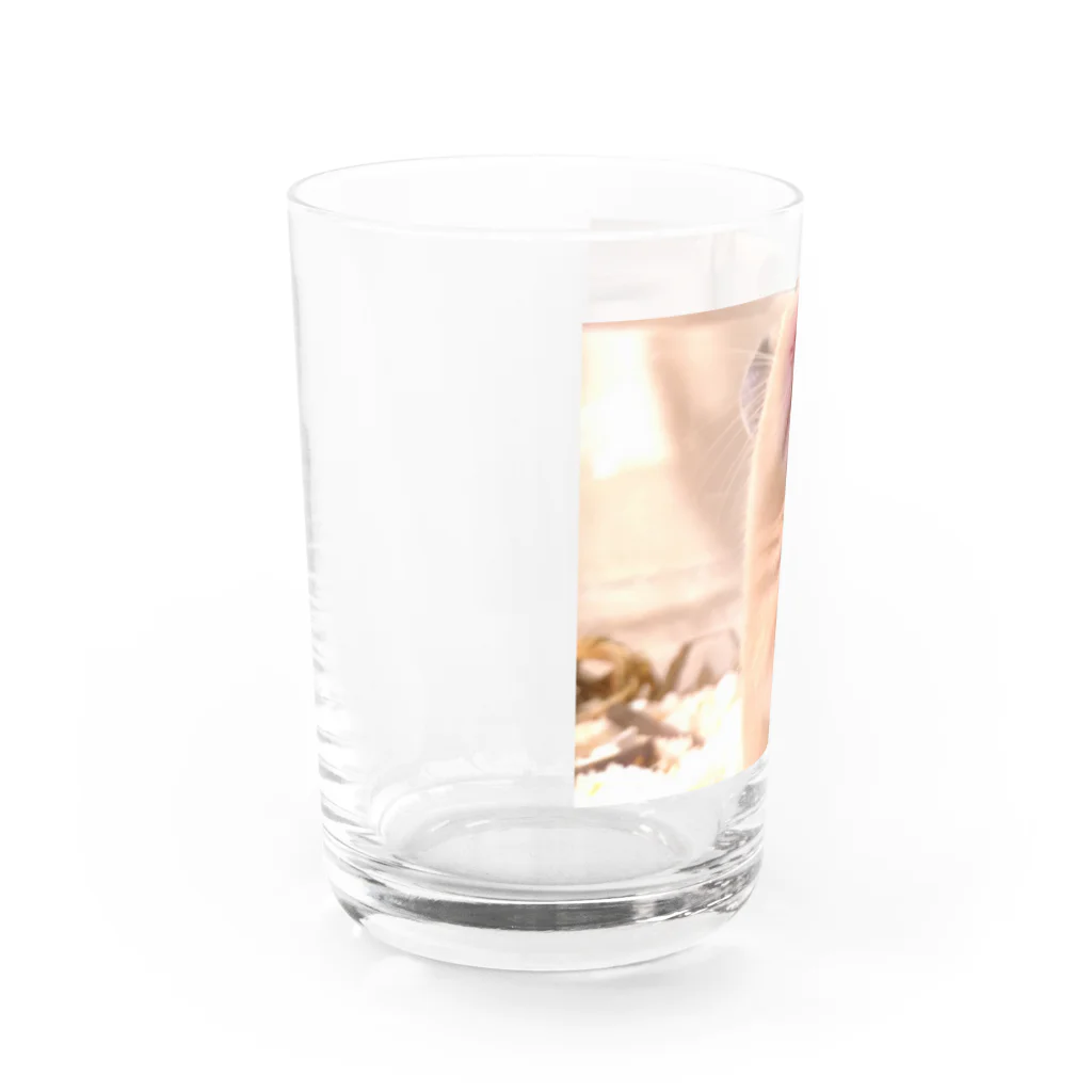 アヤナシトリィSHOPのキンクマハムスター　続 おつきみ日誌 Water Glass :left