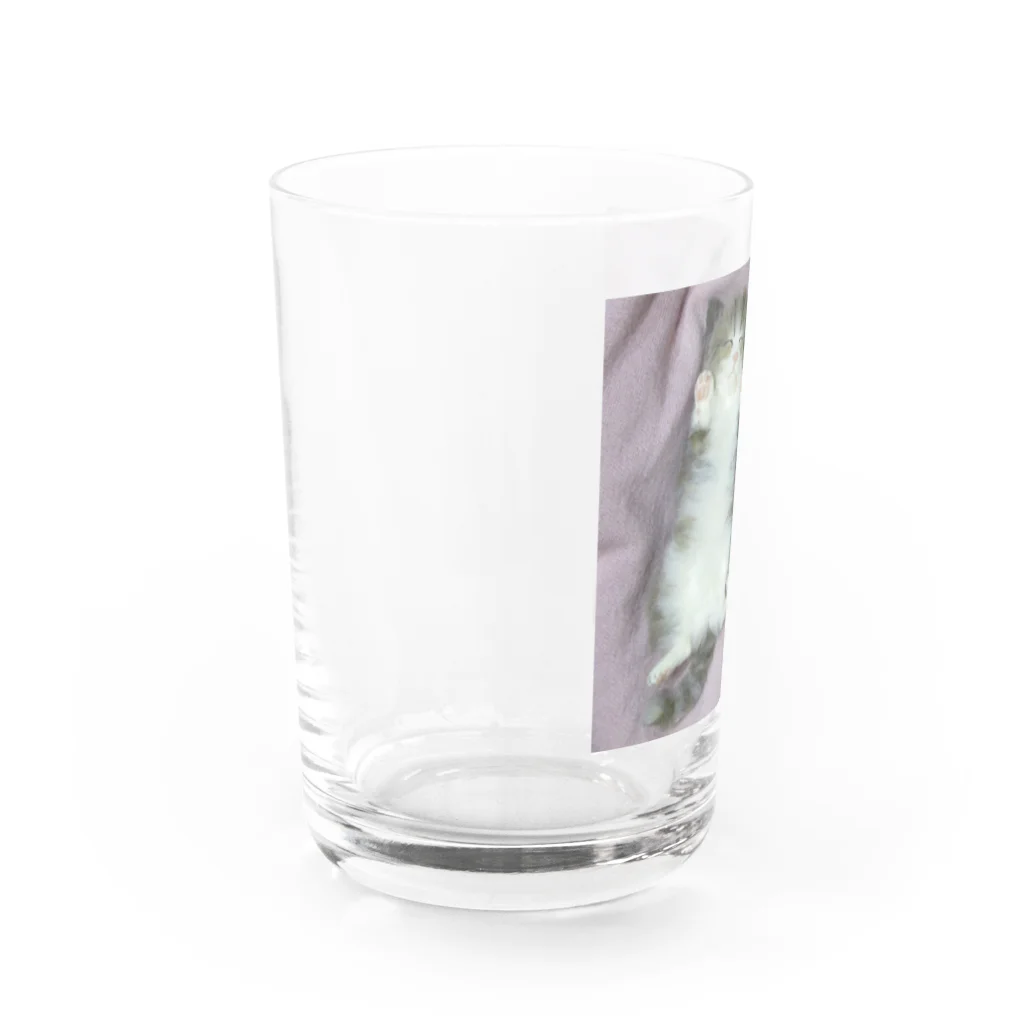 sasaki0318の兄弟で遊び疲れて爆睡中 Water Glass :left