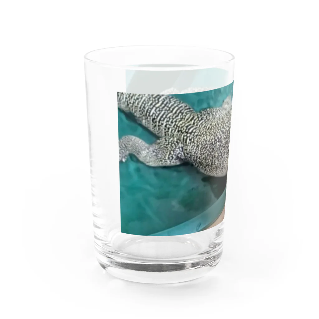 ちゃんねるおミズのおミズぐっず(マングローブオオトカゲ) Water Glass :left