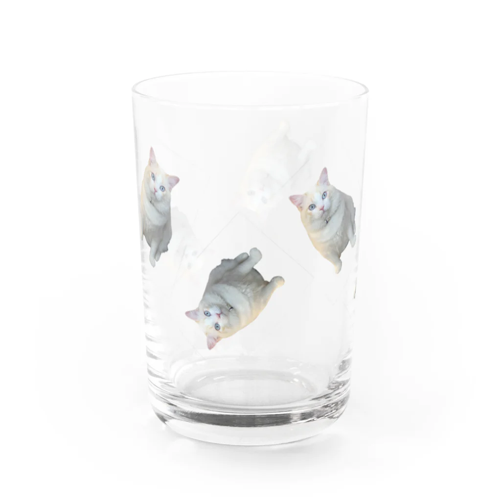 monimalの猫 Water Glass :left