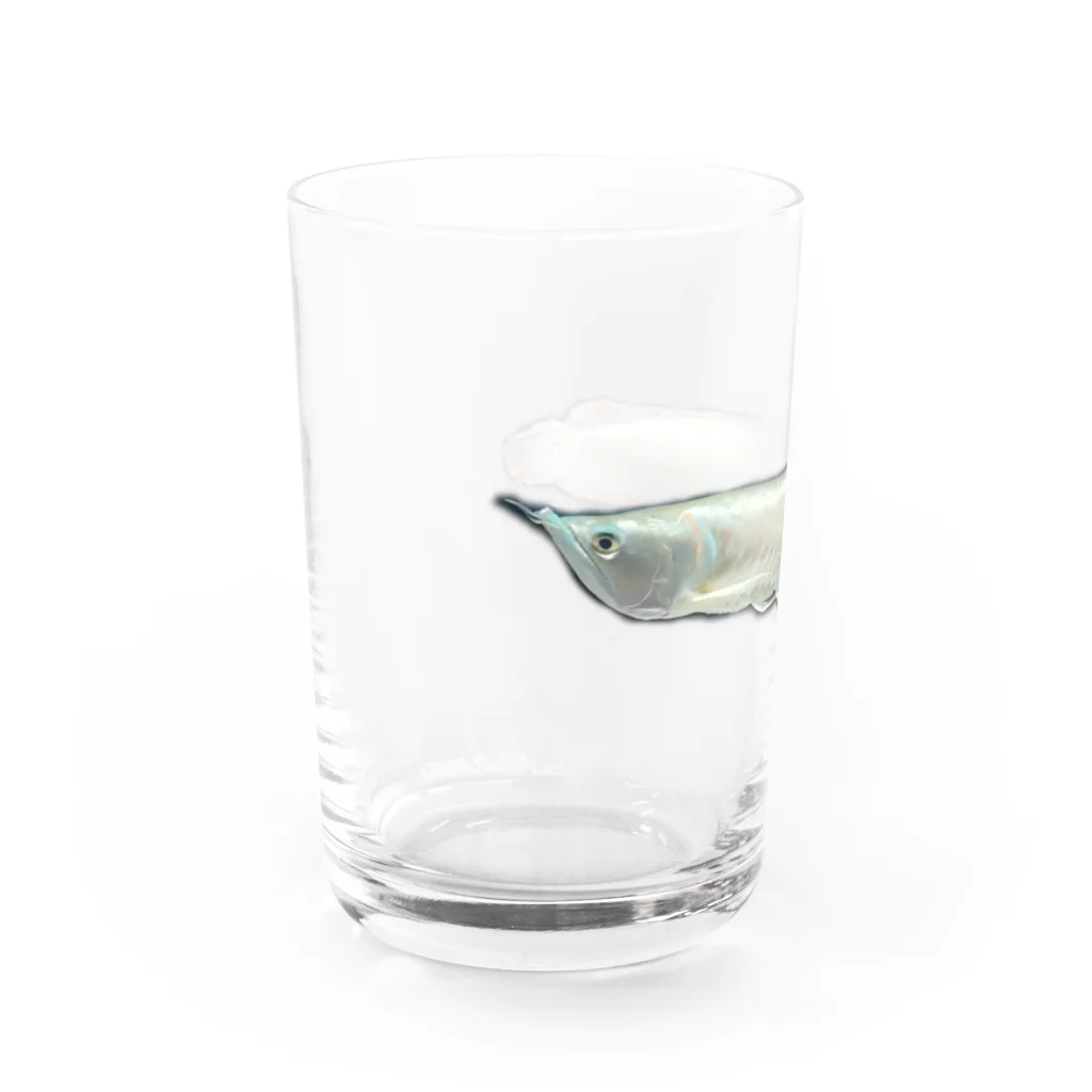 林 邦明 (クニさん)のシルバーアロワナ  Water Glass :left