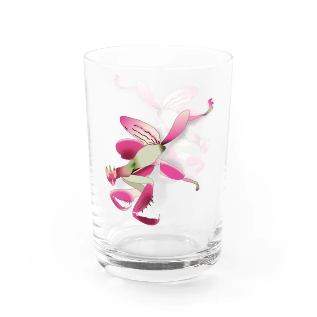 Drecome_Designのいたずらデザイン(ちょっとハナカマキリついてますよ) Water Glass :left