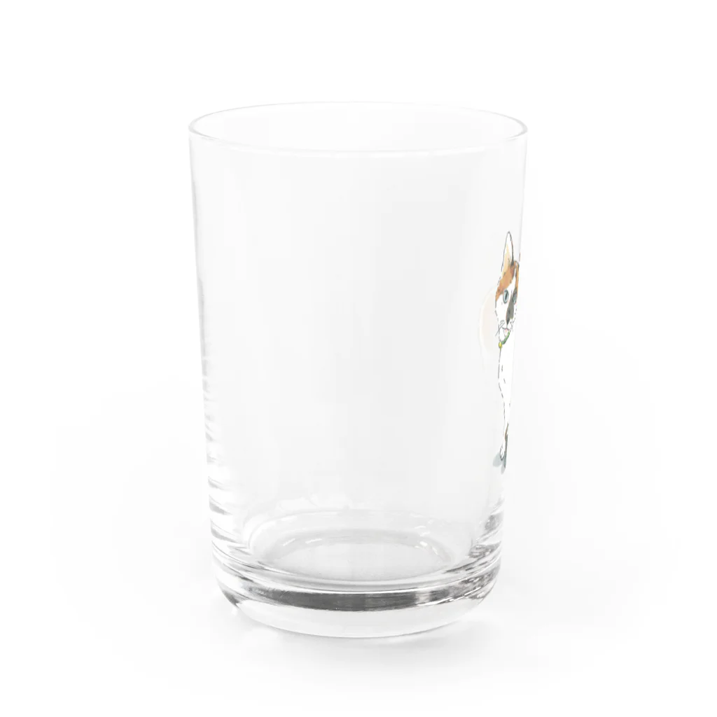 やまねくんの三毛猫　ねこ Water Glass :left