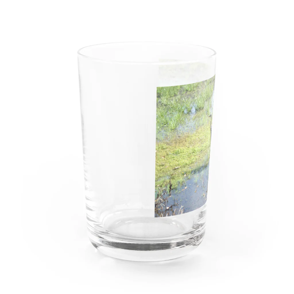 Oysterstarのアオサギくん（幼鳥） Water Glass :left