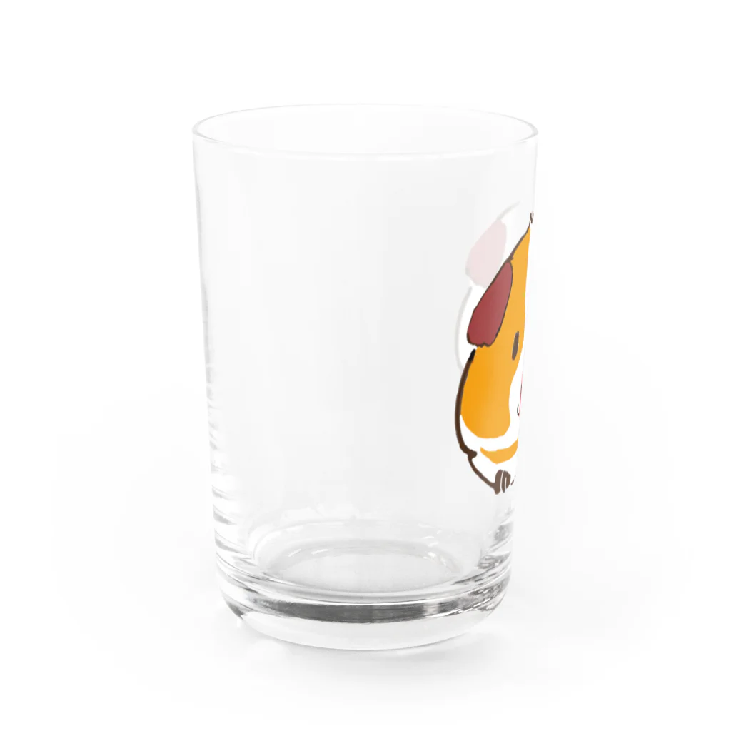 モルモットのミマモル隊のポンちゃん Water Glass :left