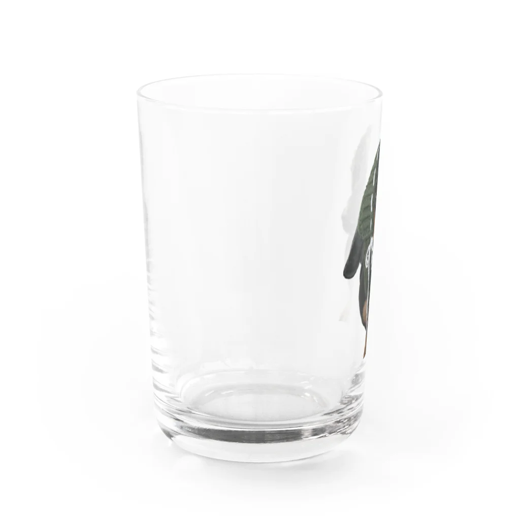 み~たの助。の冬仕様たかちゃん Water Glass :left