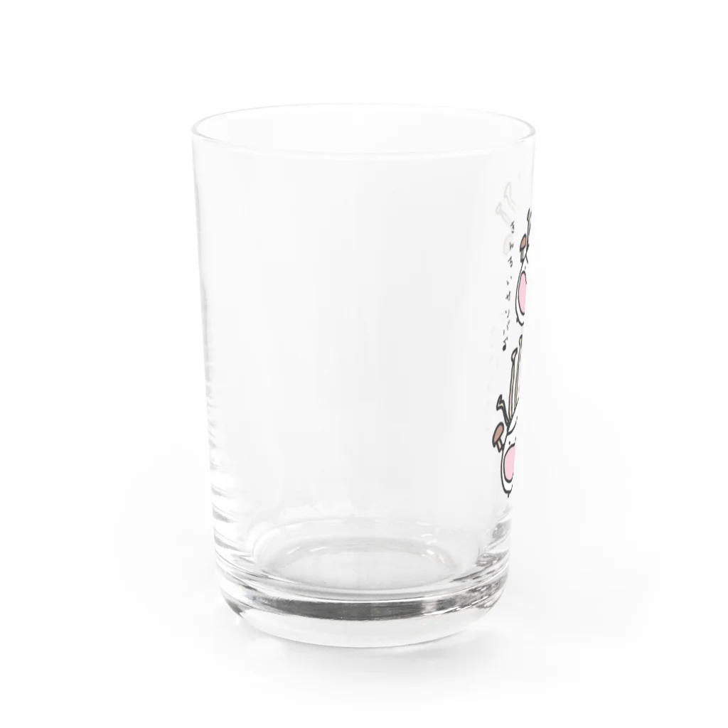 ダイナマイト87ねこ大商会の菌類サンバ Water Glass :left