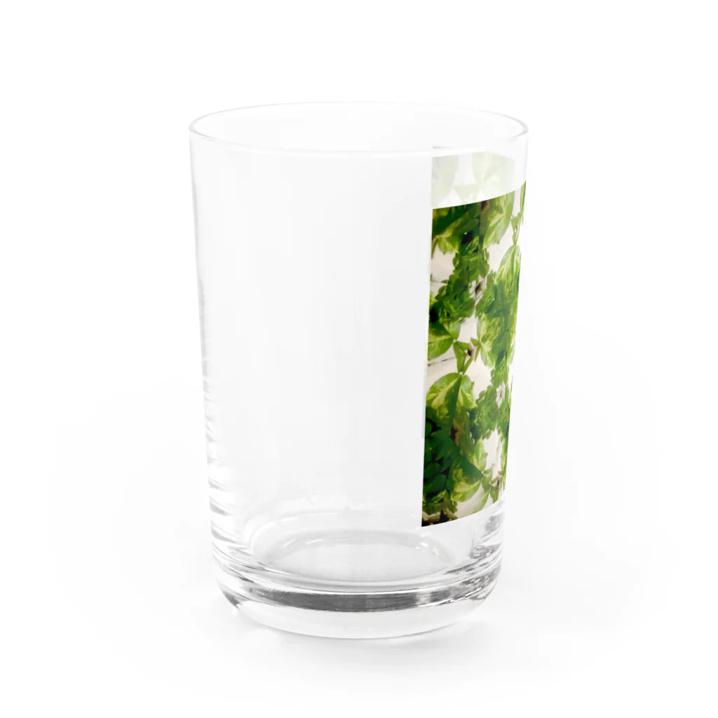 Parfume-weaverのポトス Water Glass :left