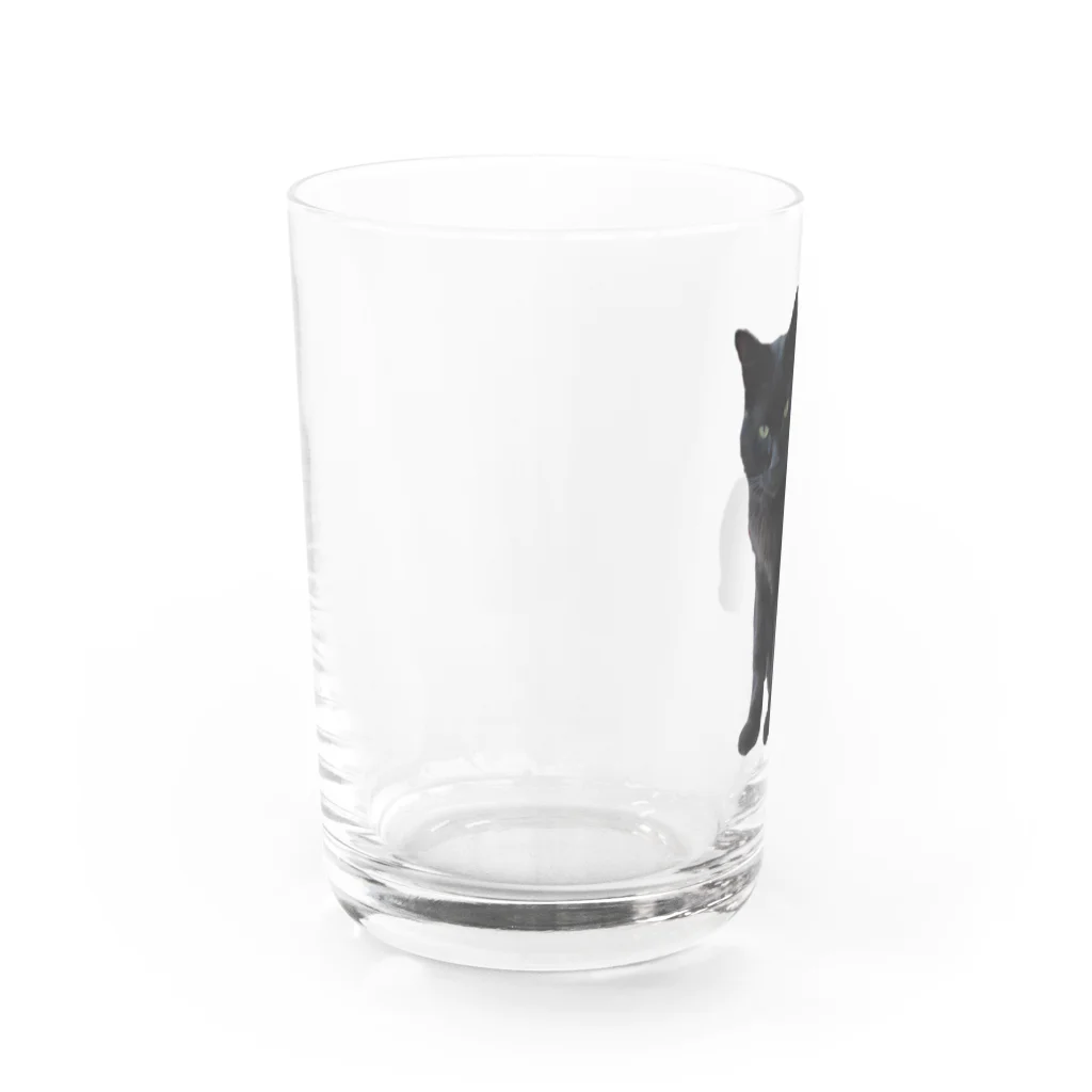 黒猫のふくちゃんの黒猫のふくちゃん Water Glass :left