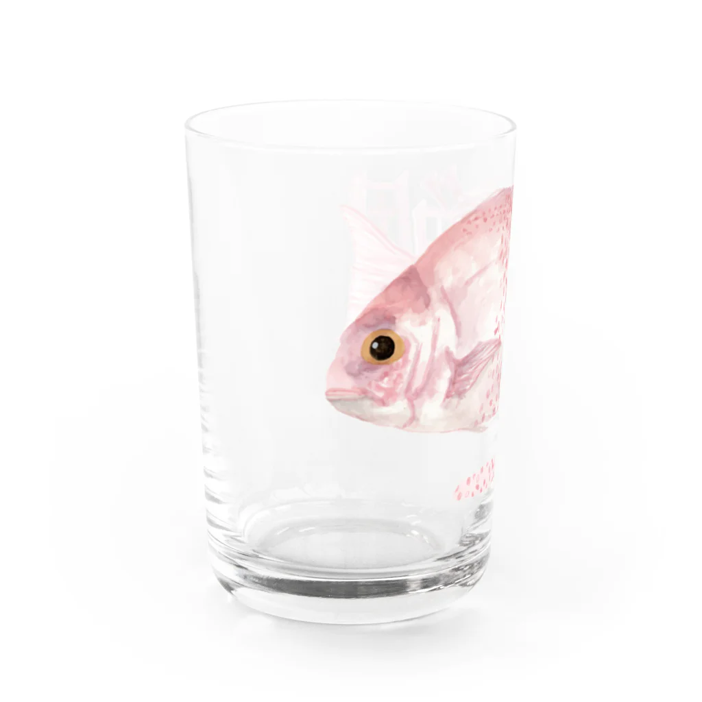 catanorynecoのTAI Water Glass :left