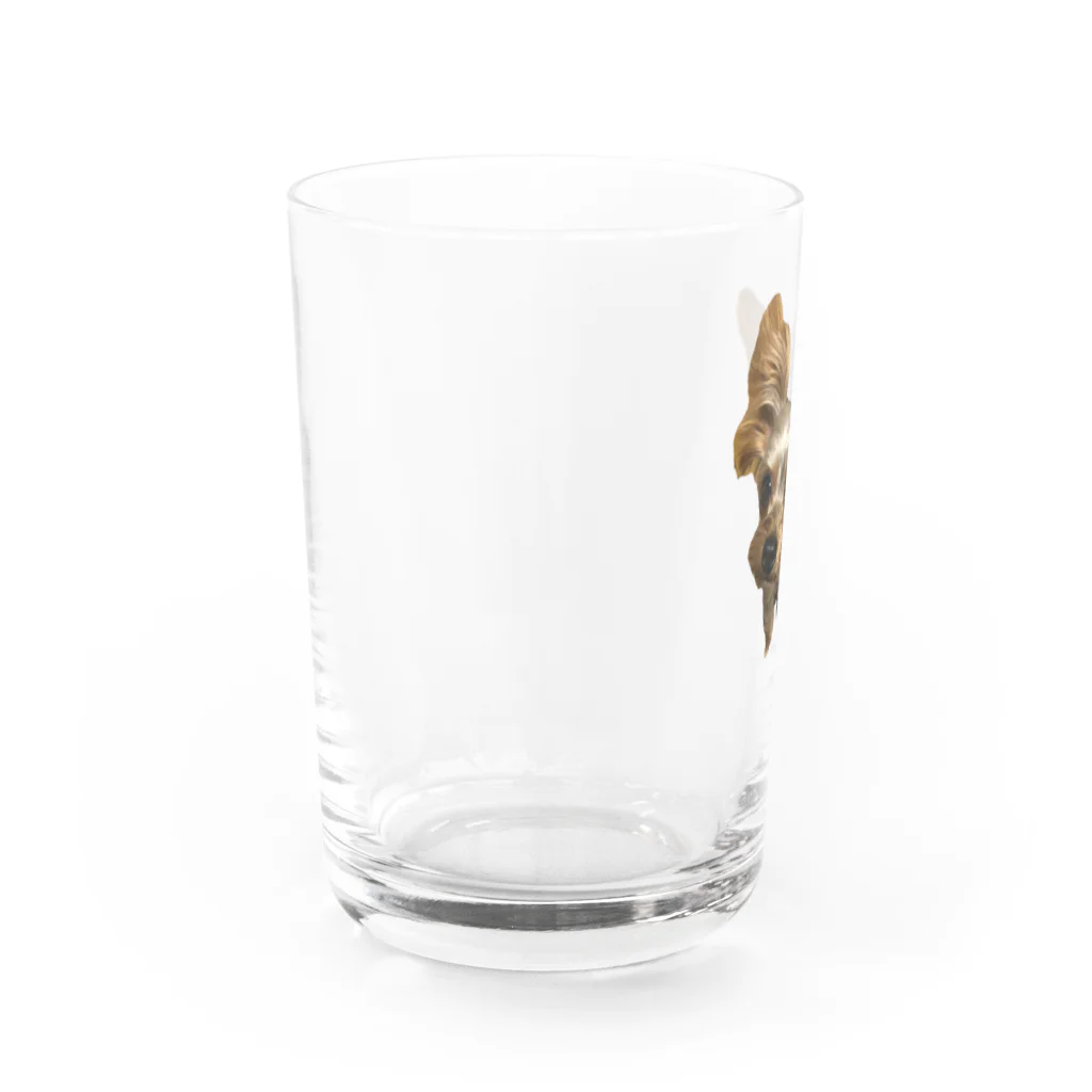 もぐもぐのぶんみ Water Glass :left