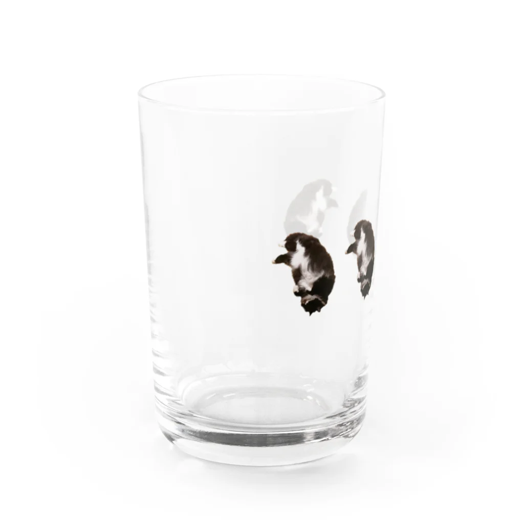 初代ラブリーキャットの並ぶ初代ラブリーキャット Water Glass :left