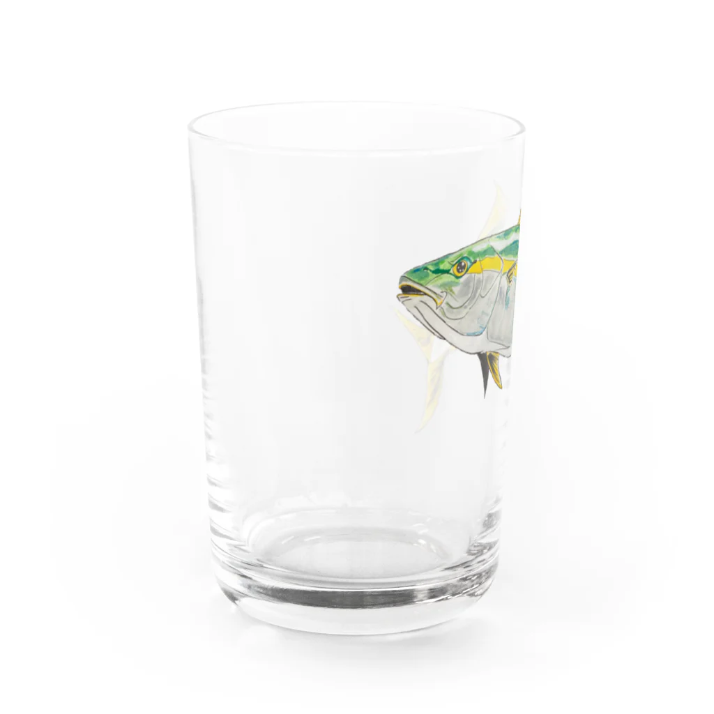 Coshi-Mild-Wildの鰤　(ブリ) Water Glass :left