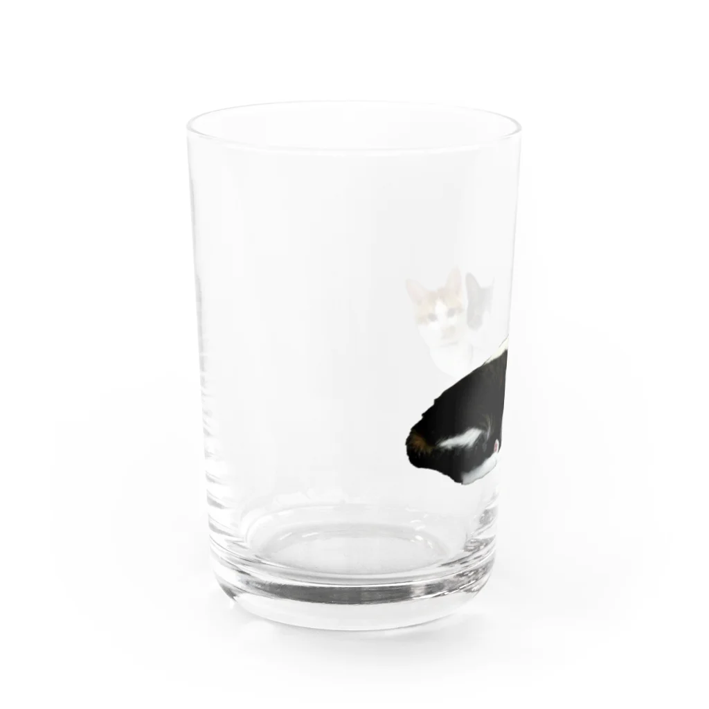 mrkwmrkのウチのにゃんず Water Glass :left