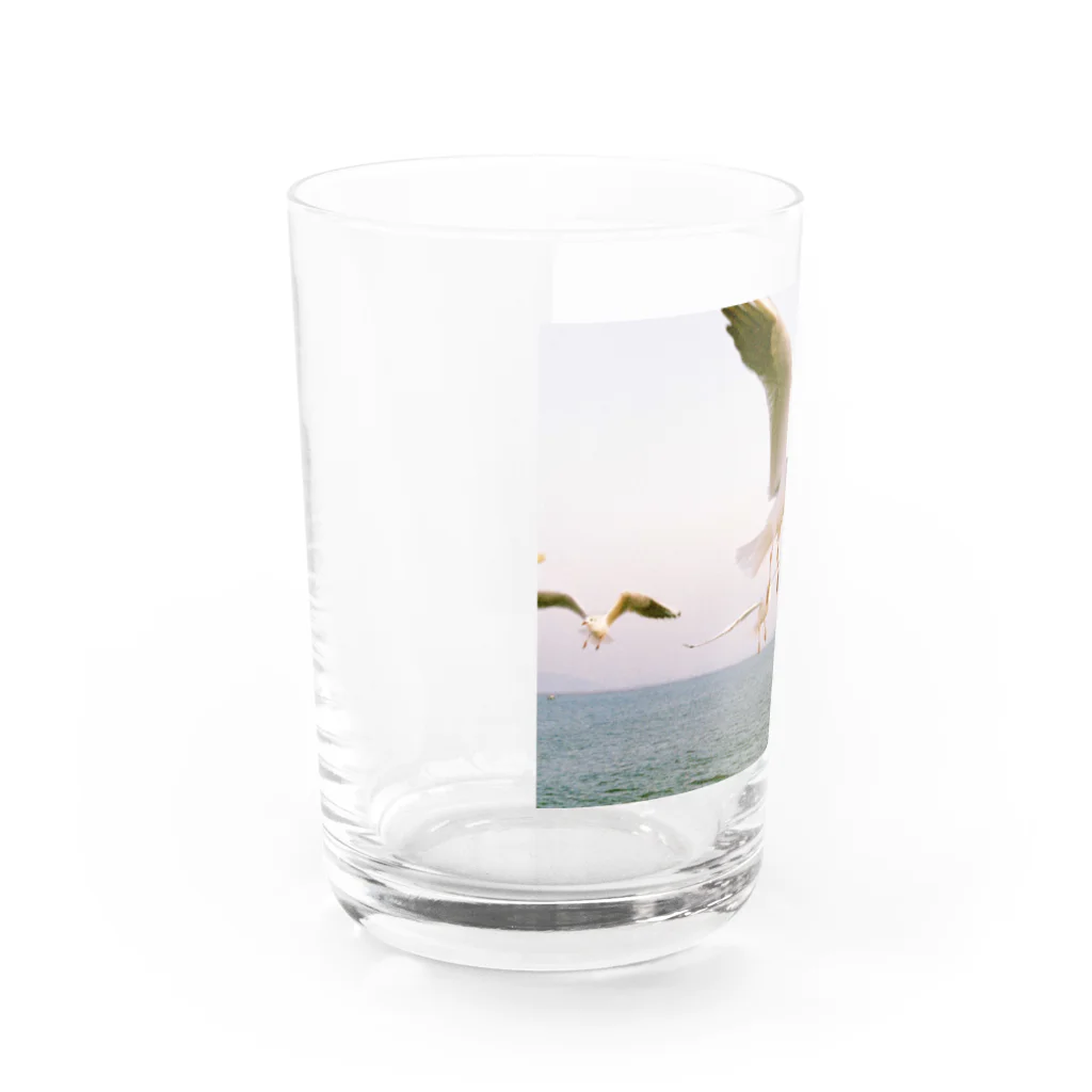 ふくだの鴎 Water Glass :left