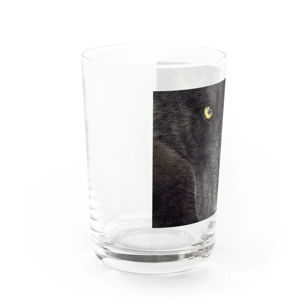 アラスカ野生動物画家きむらけいのBLACK WOLF Water Glass :left