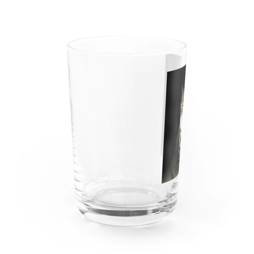 miyu_the_catの見据えるキャット Water Glass :left