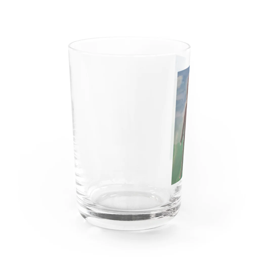 華秦商店のdgtグラス Water Glass :left