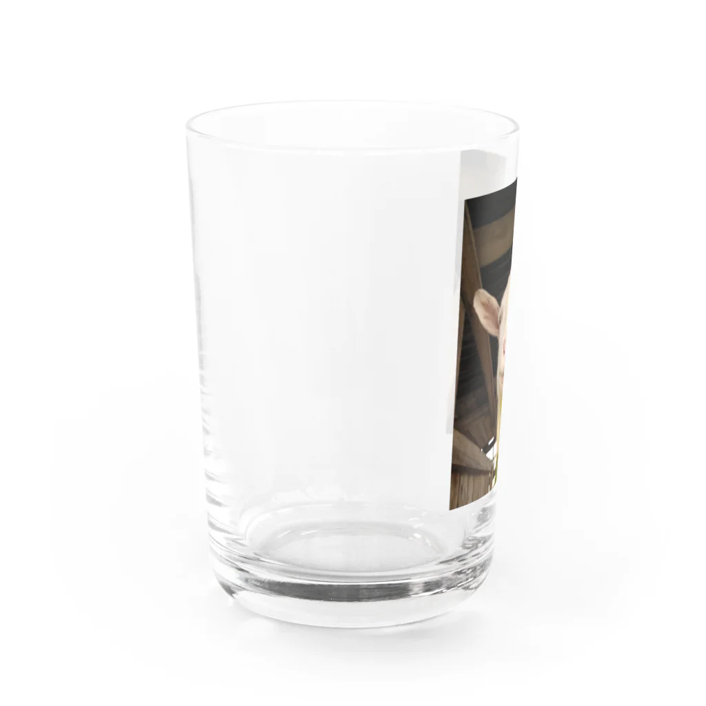 しろみヤギ小屋のしろみ Water Glass :left