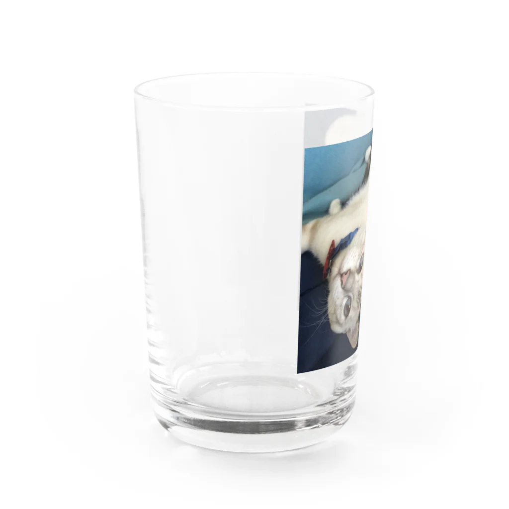 大福のだいちゃん Water Glass :left