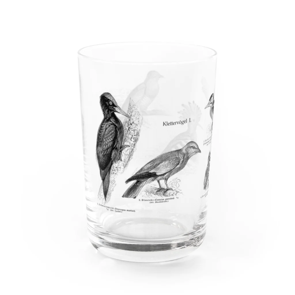 Expressgut602の樹上性鳥類1 Water Glass :left