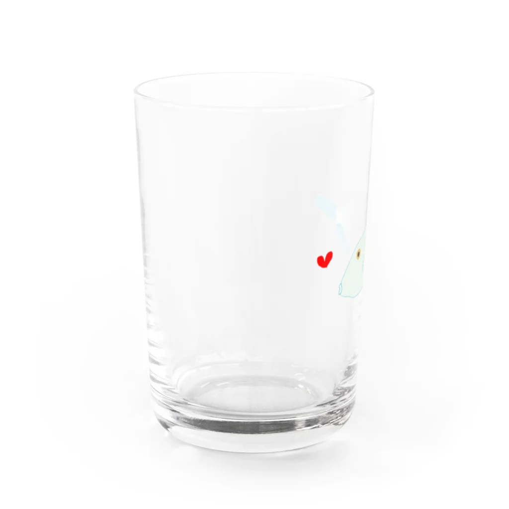 ワンモナイトのウマヅラハギ？ Water Glass :left